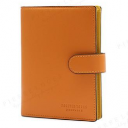 Passport holder-8