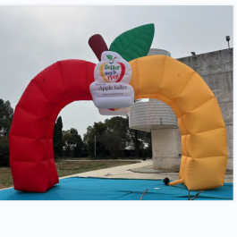 Inflatable items-9